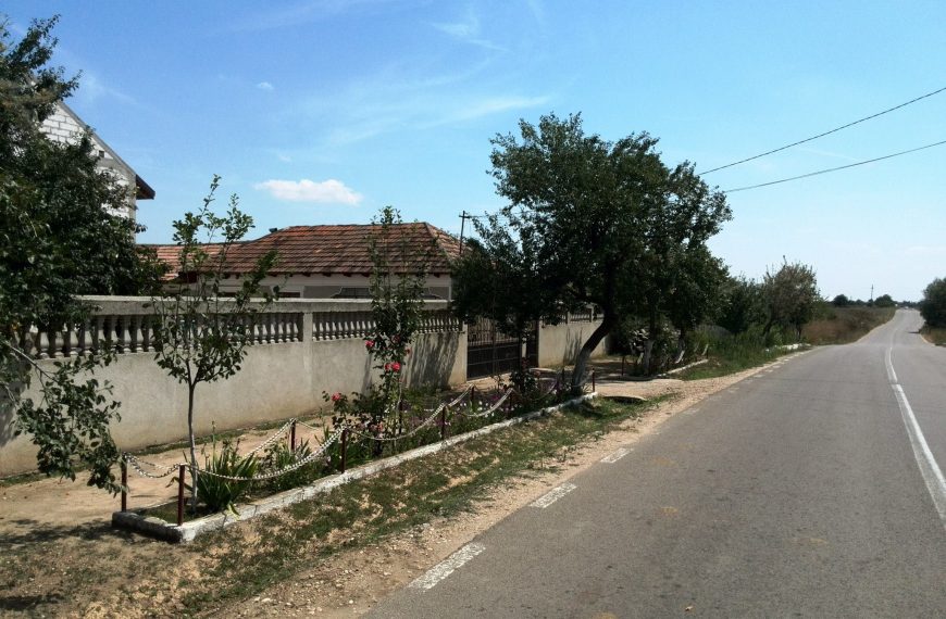 Anunt